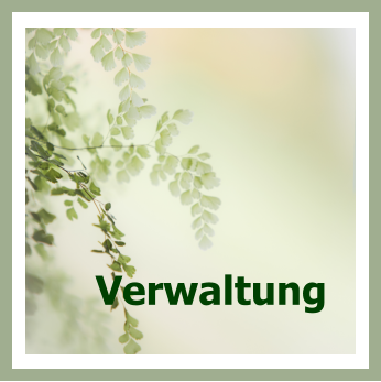 Verwaltung