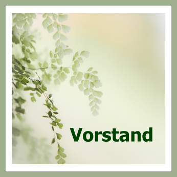 Vorstand